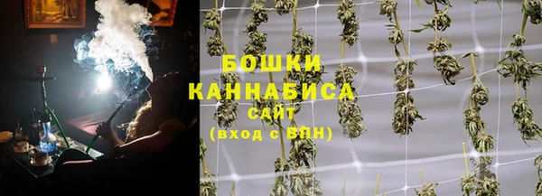 сатива Абинск