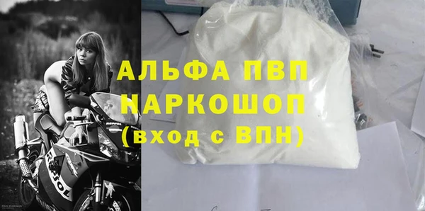 сатива Абинск