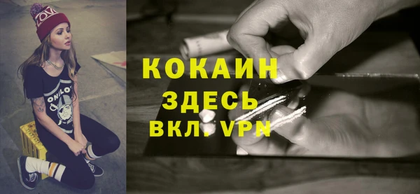 стаф Абаза