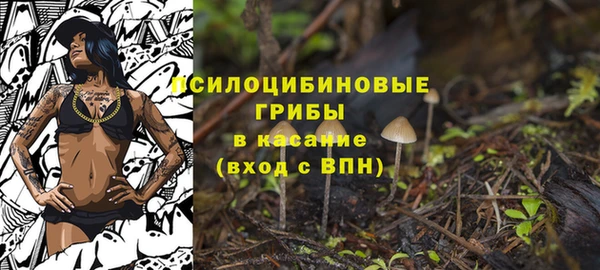ECSTASY Абдулино
