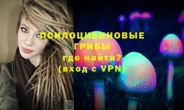 стаф Абаза