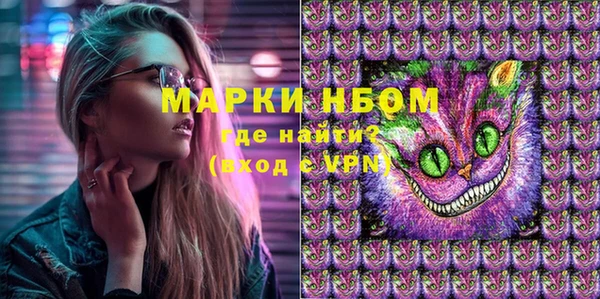сатива Абинск