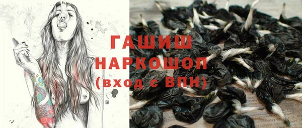 сатива Абинск
