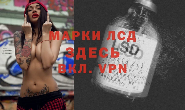стаф Абаза