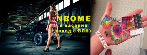 сатива Абинск