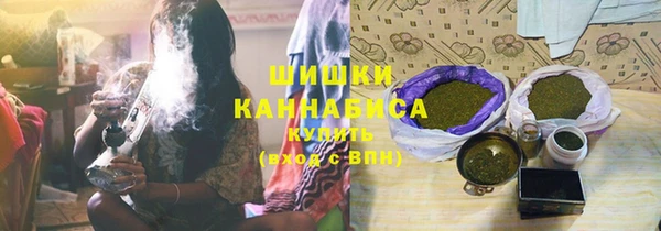 сатива Абинск