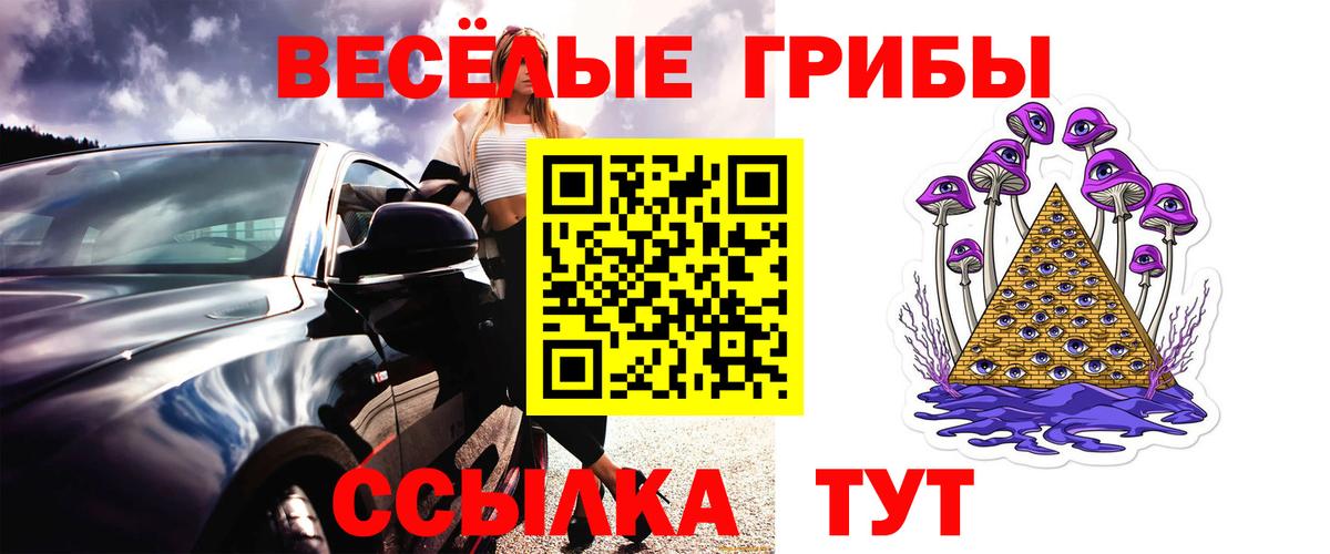 Юрга  Псилоцибиновые грибы прущие грибы  Вход с VPN 